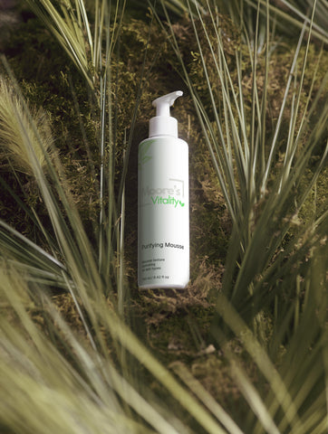 Purifying Mousse